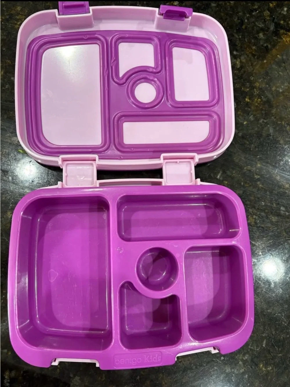 Bentgo Pink/Purple Food Storage Container - Bentgo